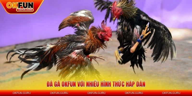 da ga okfun voi nhieu hinh thuc